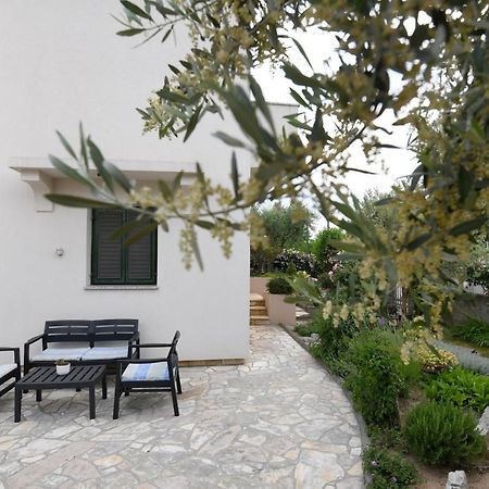 Rose Apartment Zadar Eksteriør billede