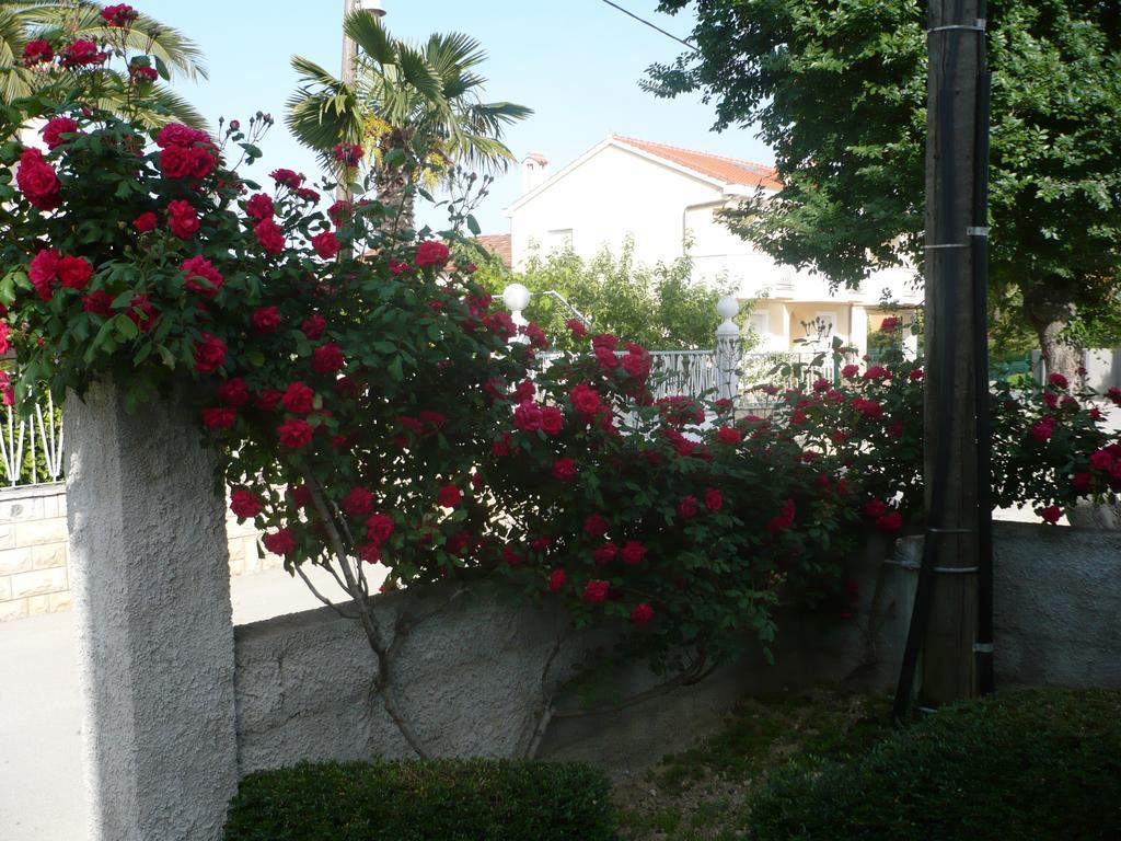 Rose Apartment Zadar Værelse billede